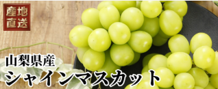 スクリーンショット 2025-09-12 182154