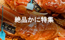 スクリーンショット 2025-09-13 164920