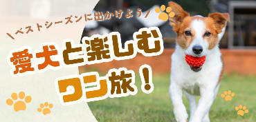 スクリーンショット 2025-09-16 183603